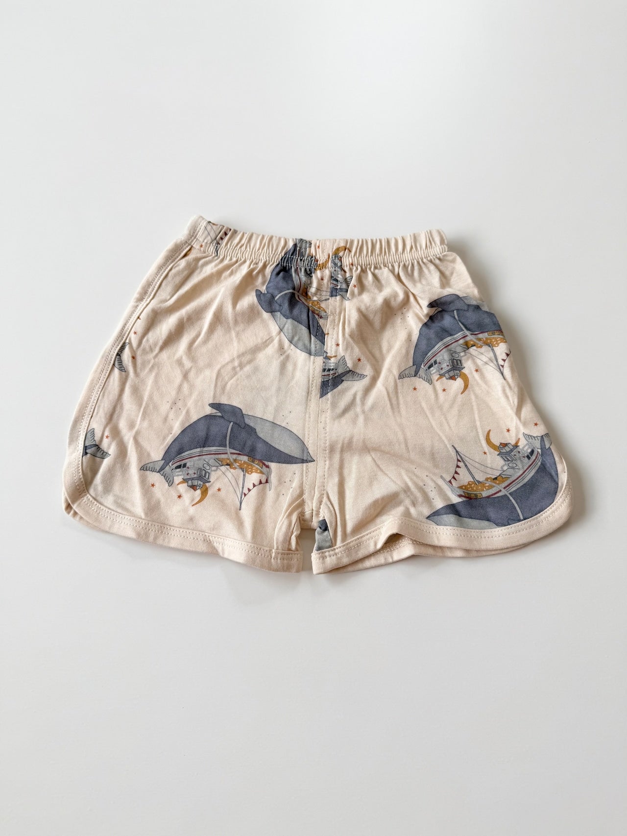 【予約】王冠くじらと海の冒険セットアップ